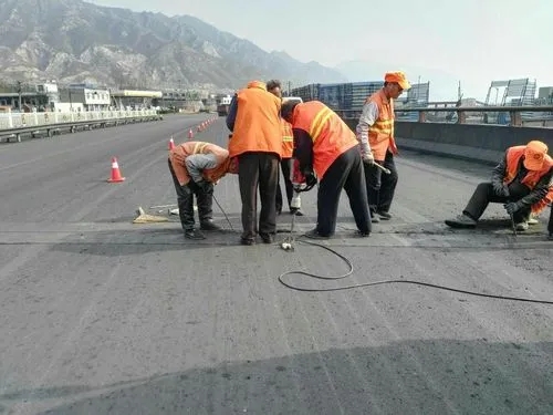 西湖道路桥梁病害治理